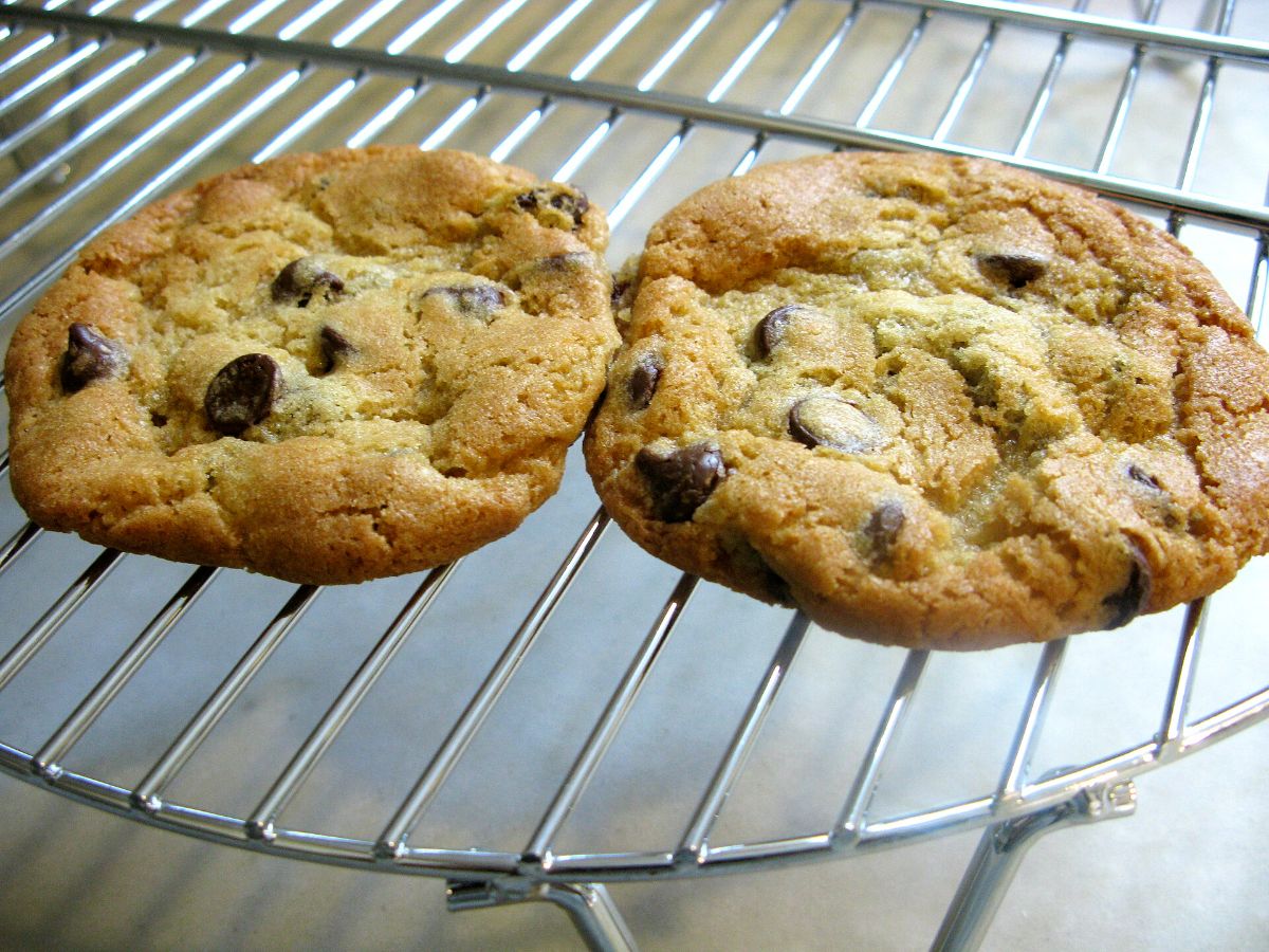 Chocolate chip cookies cooling on a wire rack
